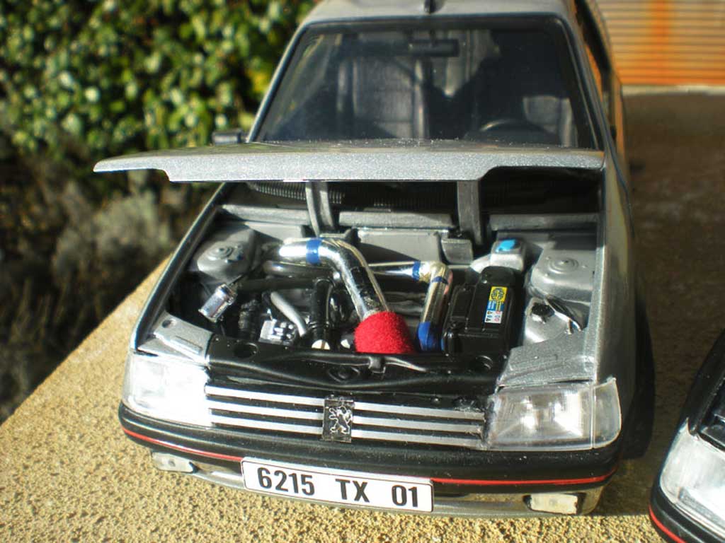 Peugeot 205 GTI TCT grijs futura jantes PTS 1/18 Solido