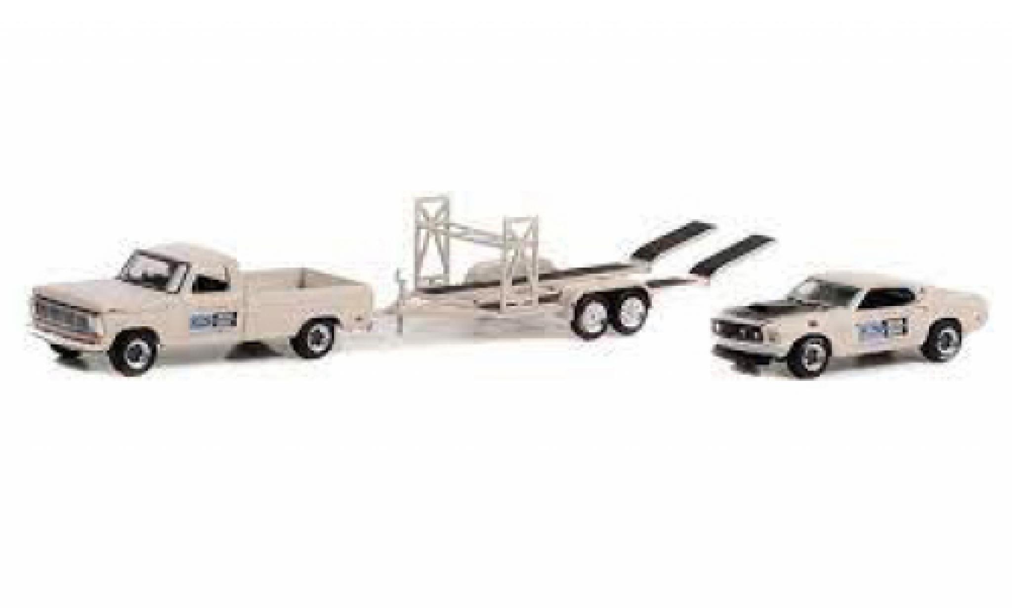 Ford F-1 1/64 Greenlight 00 Pete Peterson 1969 modelauto