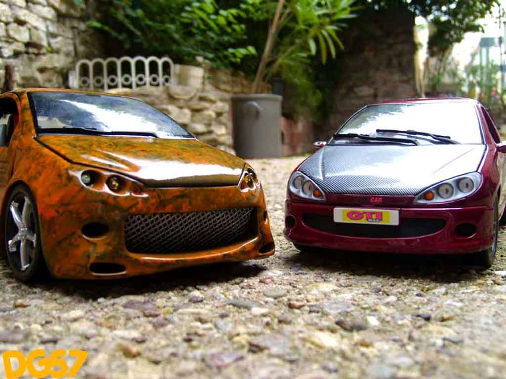 Peugeot 206 WRC street racer 1/18 Norev