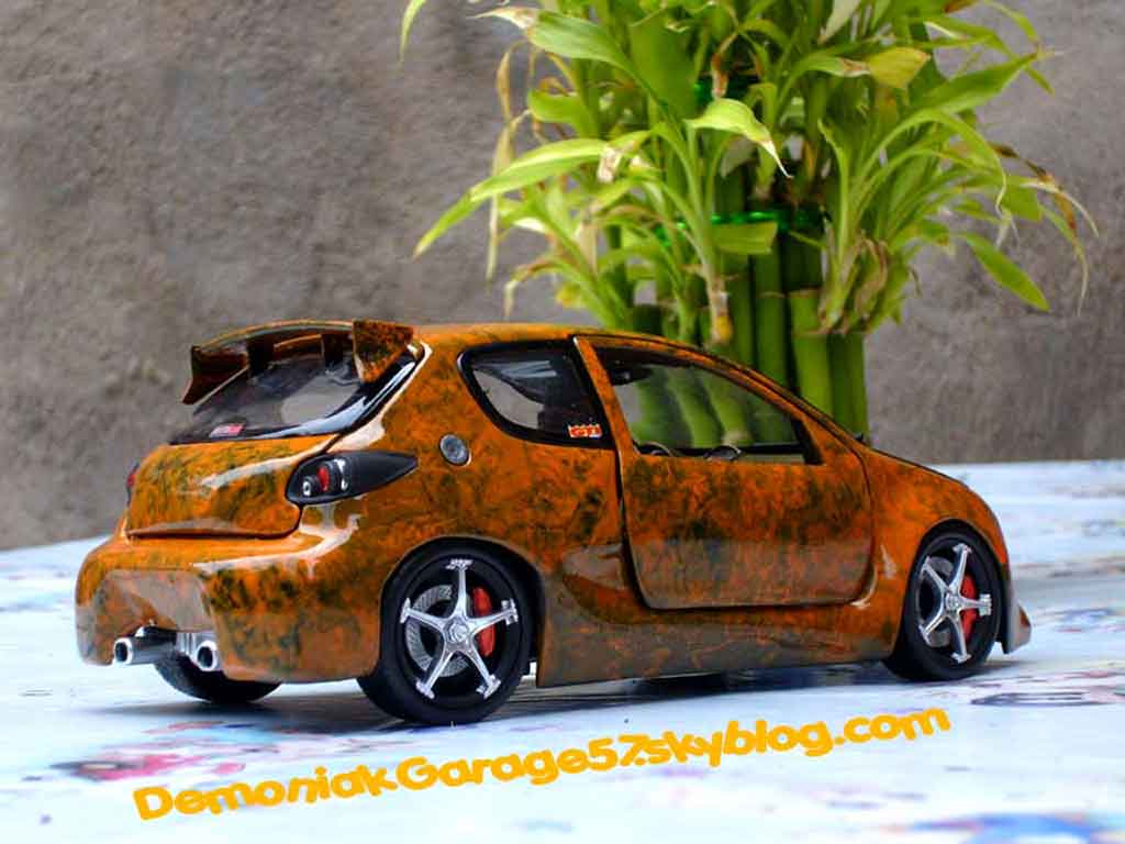 Peugeot 206 WRC street racer 1/18 Norev