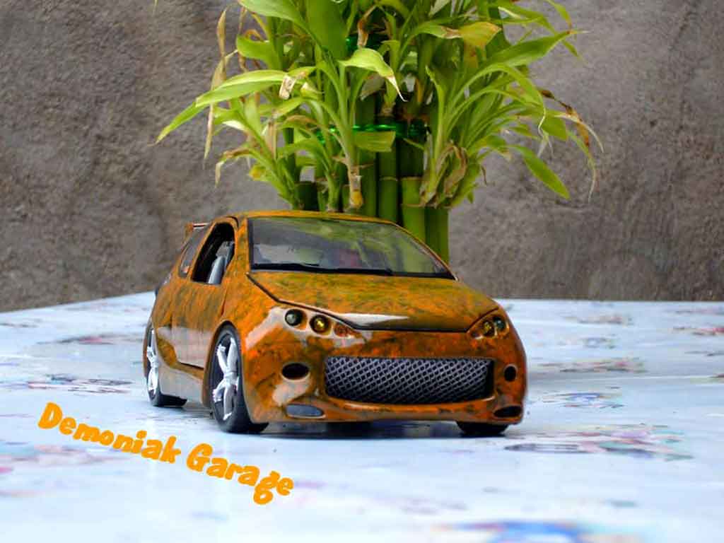 Peugeot 206 WRC street racer 1/18 Norev