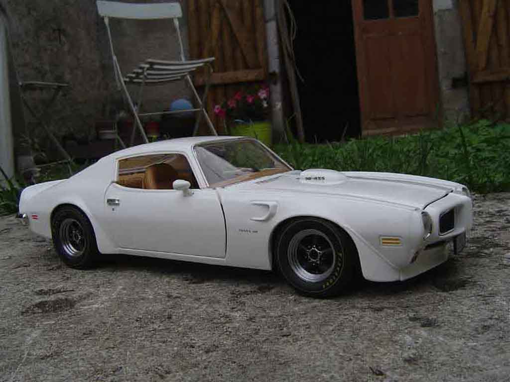 Pontiac Firebird 1973 trans am 1/18 Ertl