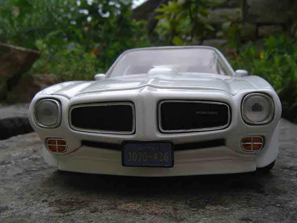 Pontiac Firebird 1973 1/18 Ertl 1973 trans am modelauto