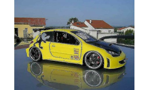 Peugeot 206 WRC 1/18 Solido tuning geel modelauto