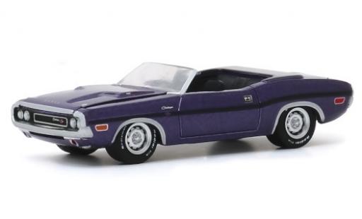 Modelauto Dodge Challenger Cabriolet R/T metallic lila 1970 1/64 Greenlight