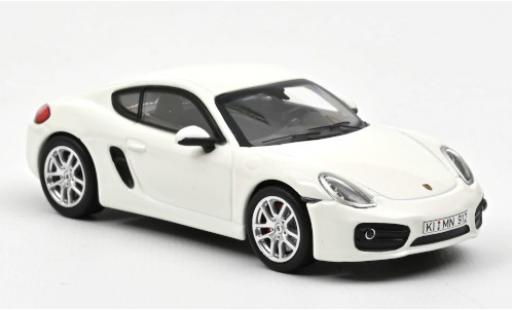 Modelauto Porsche 718 S wit 2013 1/43 Norev