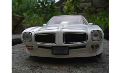 Pontiac Firebird 1973 1/18 Ertl trans am modelauto